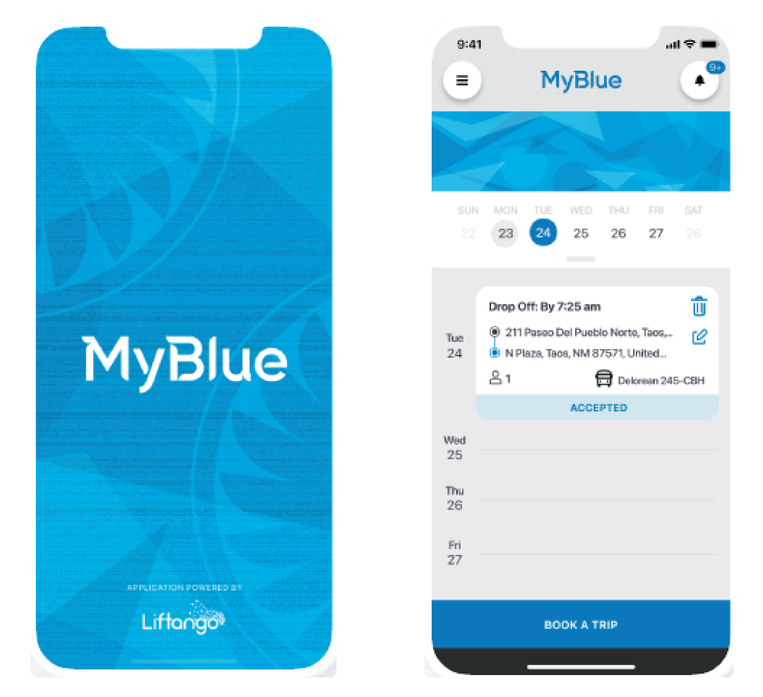 MyBlue Graphic Image Screenshot