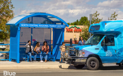 Back to School with the Blue Bus 
